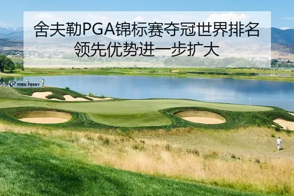 she-fu-lei-jin-biao-sai-duo-guan-shi-jie-pai-ming-ling-xian-you-shi-jin-yi-bu-kuo-da-3-233.jpg