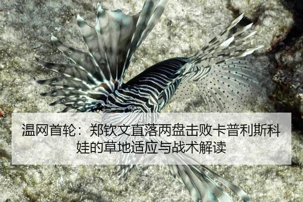 wen-wang-shou-lun-zheng-qin-wen-zhi-luo-liang-pan-ji-bai-ka-pu-li-si-ke-wa-de-cao-di-shi-ying-yu-zhan-shu-jie-du-3-273.jpg