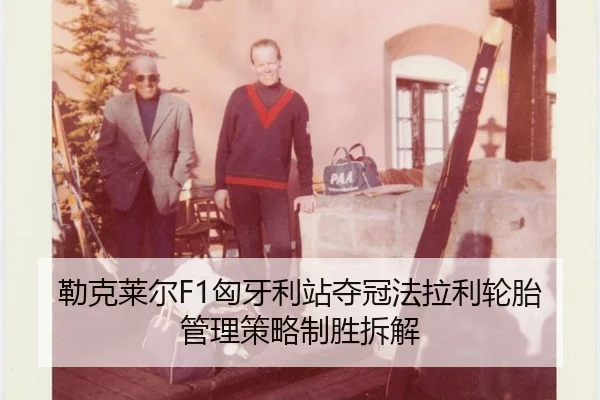 lei-ke-lai-er-xiong-ya-li-zhan-duo-guan-fa-la-li-lun-tai-guan-li-ce-lve-zhi-sheng-chai-jie-3-716.jpg