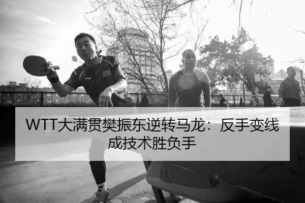 da-man-guan-fan-zhen-dong-ni-zhuan-ma-long-fan-shou-bian-xian-cheng-ji-shu-sheng-fu-shou-2-586.jpg