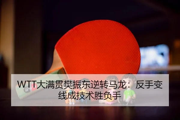da-man-guan-fan-zhen-dong-ni-zhuan-ma-long-fan-shou-bian-xian-cheng-ji-shu-sheng-fu-shou-3-159.jpg